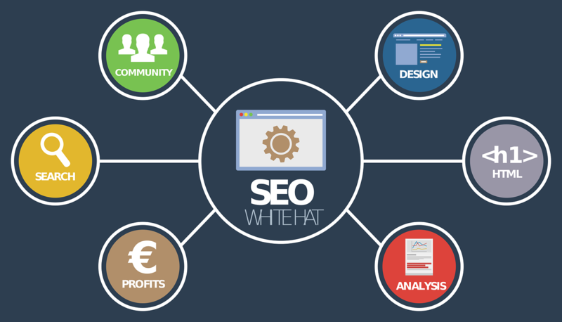 Top 6 Affordable SEO Companies of the World - Work In My Pajamas