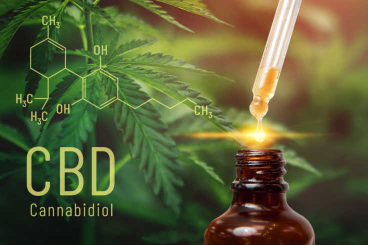 CBD home business